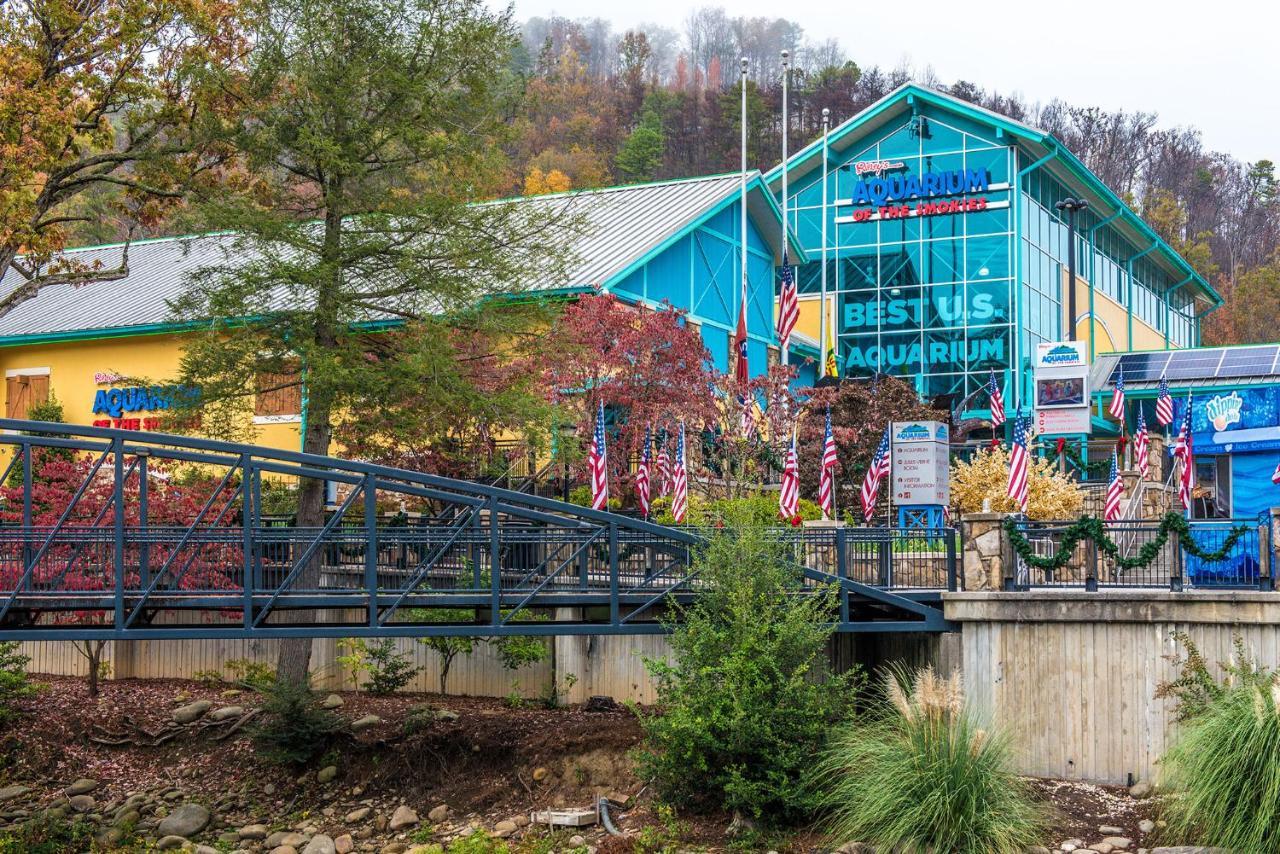 Bear View Chalet, 3 Bedroom, Pool, Pets, Arcades, Wifi, Hot Tub, Sleeps 12 Gatlinburg Exterior photo