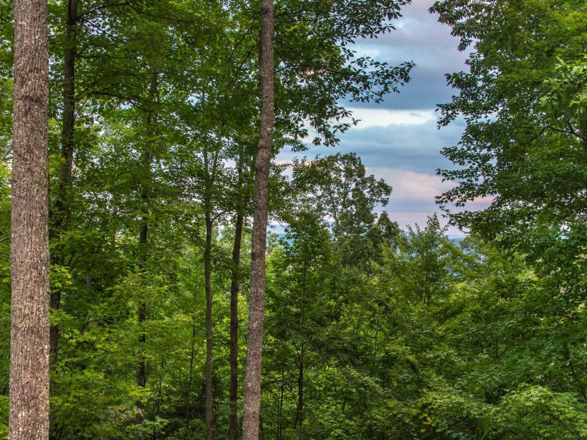 Bear View Chalet, 3 Bedroom, Pool, Pets, Arcades, Wifi, Hot Tub, Sleeps 12 Gatlinburg Exterior photo